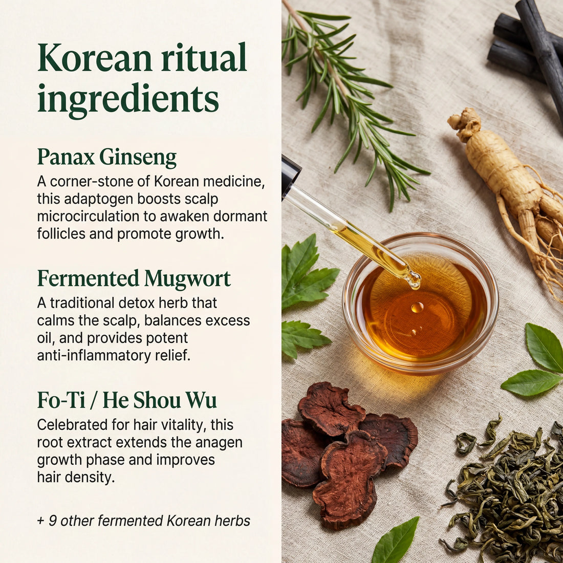 Korean Scalp Ritual Bar